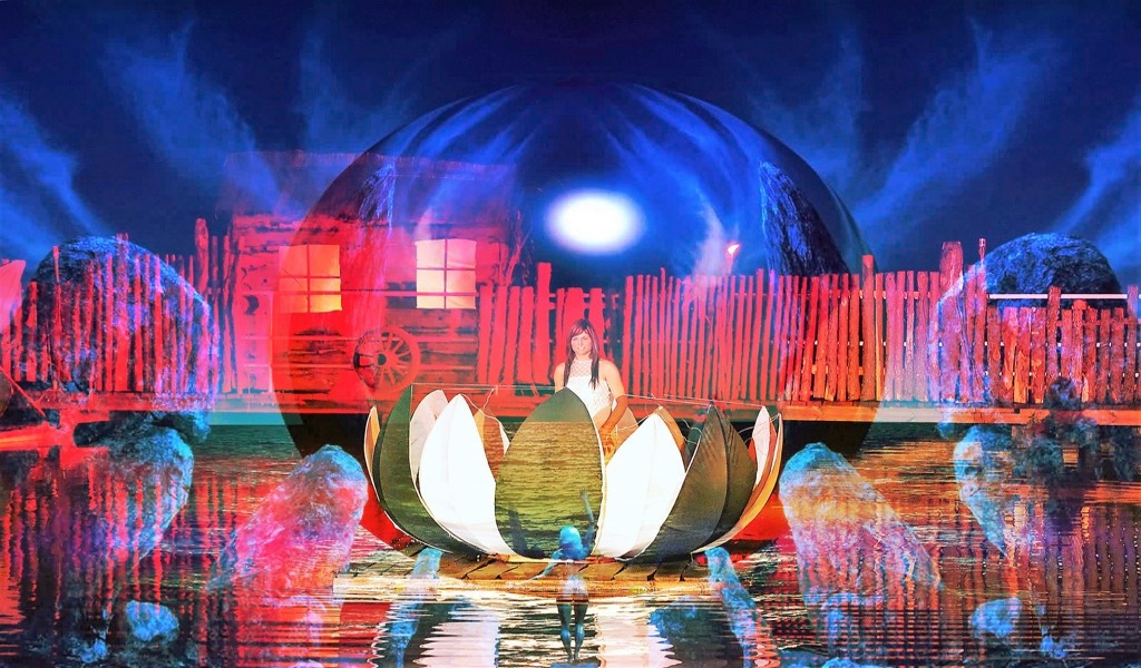 Noc Nenufarów <br>Lubrza (lipiec) Noc Nenufarów